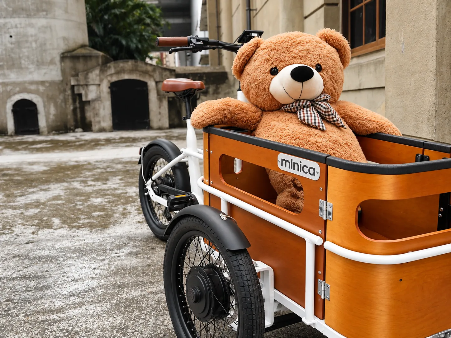 minicapet e-cargo bike